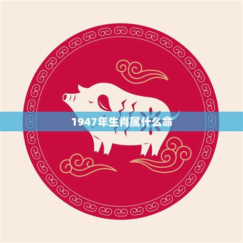 1947年属什么|1947年属什么生肖？详细解析1947年的属相及命运